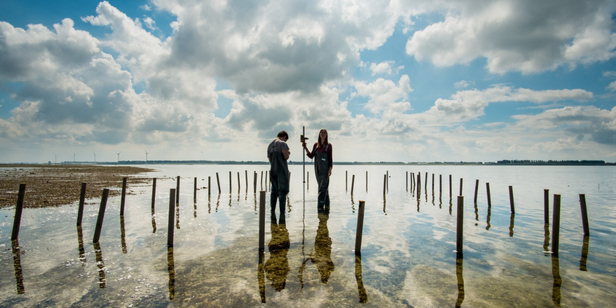 Twee onderzoekers staan in het ondiepe water van de Oosterschelde en zetten een grootschalig veldexperiment op. De ene bedient meetapparatuur, terwijl rijen houten palen de proefpercelen afbakenen onder een indrukwekkende lucht die weerspiegelt in het kalme water.