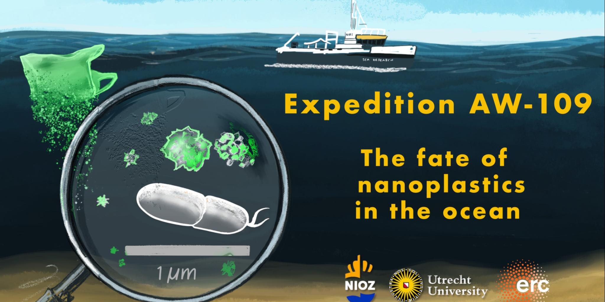 Logo of the NanoMare Expedition AW-109: The fate of nanoplastics in the ocean (image: Helge Niemann). 