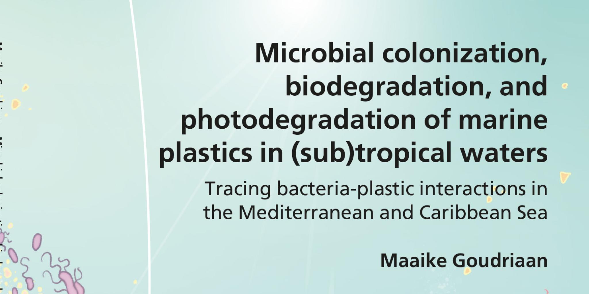 Illustrated thesis cover showing an underwater scene with stylized corals and marine life in blue and purple tones. A stream of small pink bacteria-like shapes and yellow plastic fragments flows diagonally across the center. The title reads ‘Microbial colonization, biodegradation, and photodegradation of marine plastics in (sub)tropical waters: Tracing bacteria-plastic interactions in the Mediterranean and Caribbean Sea,’ by Maaike Goudriaan.