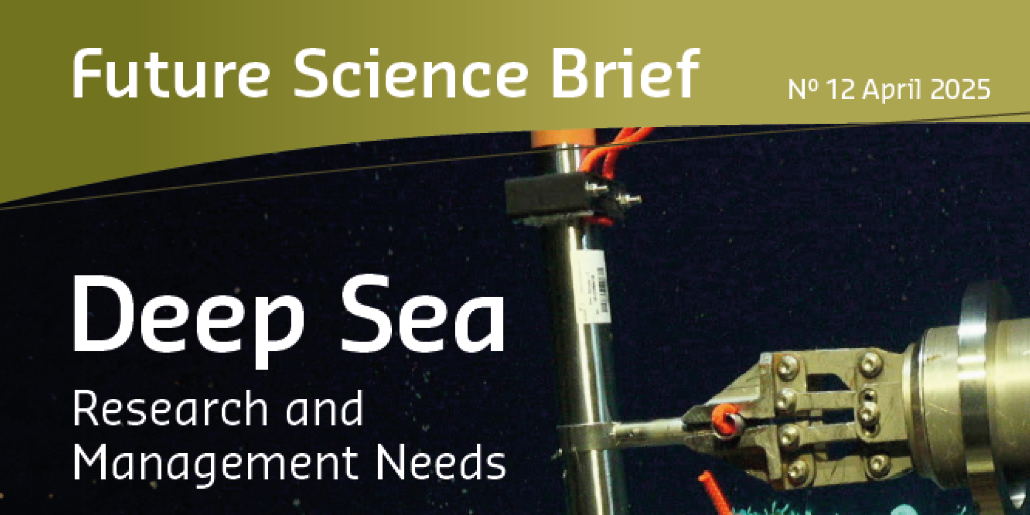 Cover with text Future Science Brief, Deap Sea Research and Management Needs