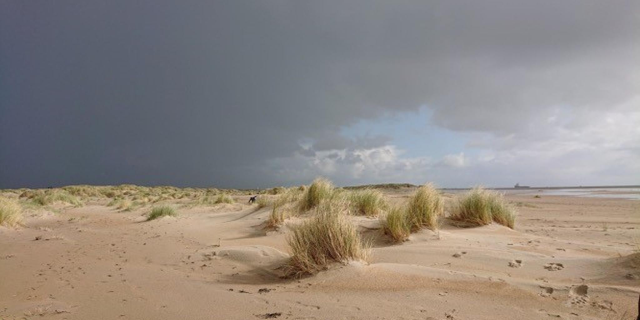 Sand dunes with beach grass under a threatening dark sky.