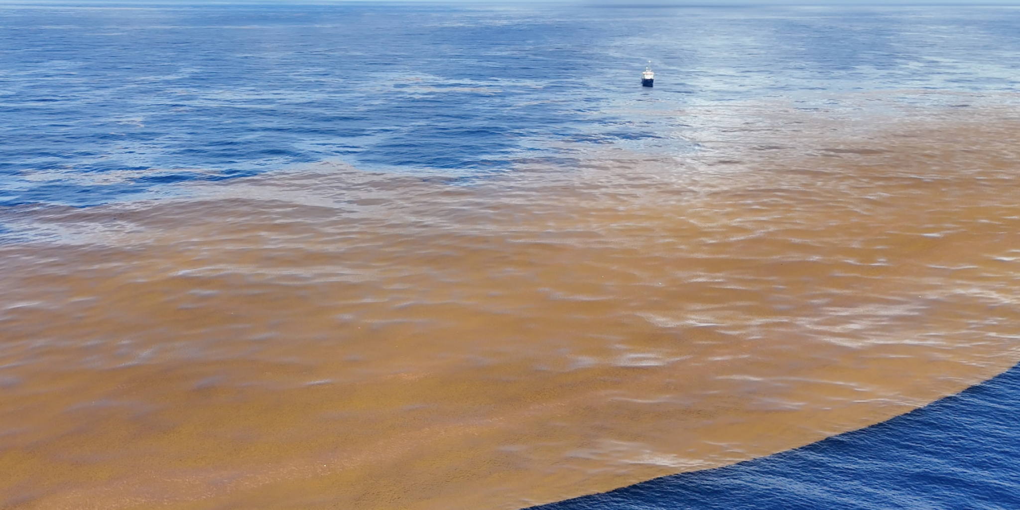 The RV Pelagia alongside one of largest Sargassum patches encountered on our voyage that extended kilometers in either direction, beyond the safe traveling distance of the drone (still image: L.A. Amaral-Zettler from E.R. Zettler drone video footage).
