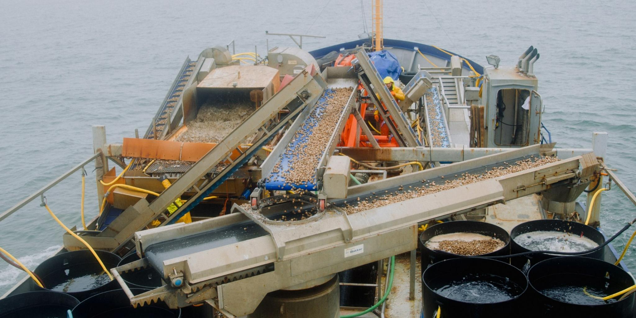 Het dek van een vissersboot met de machines voor de verwerking van schelpdieren.