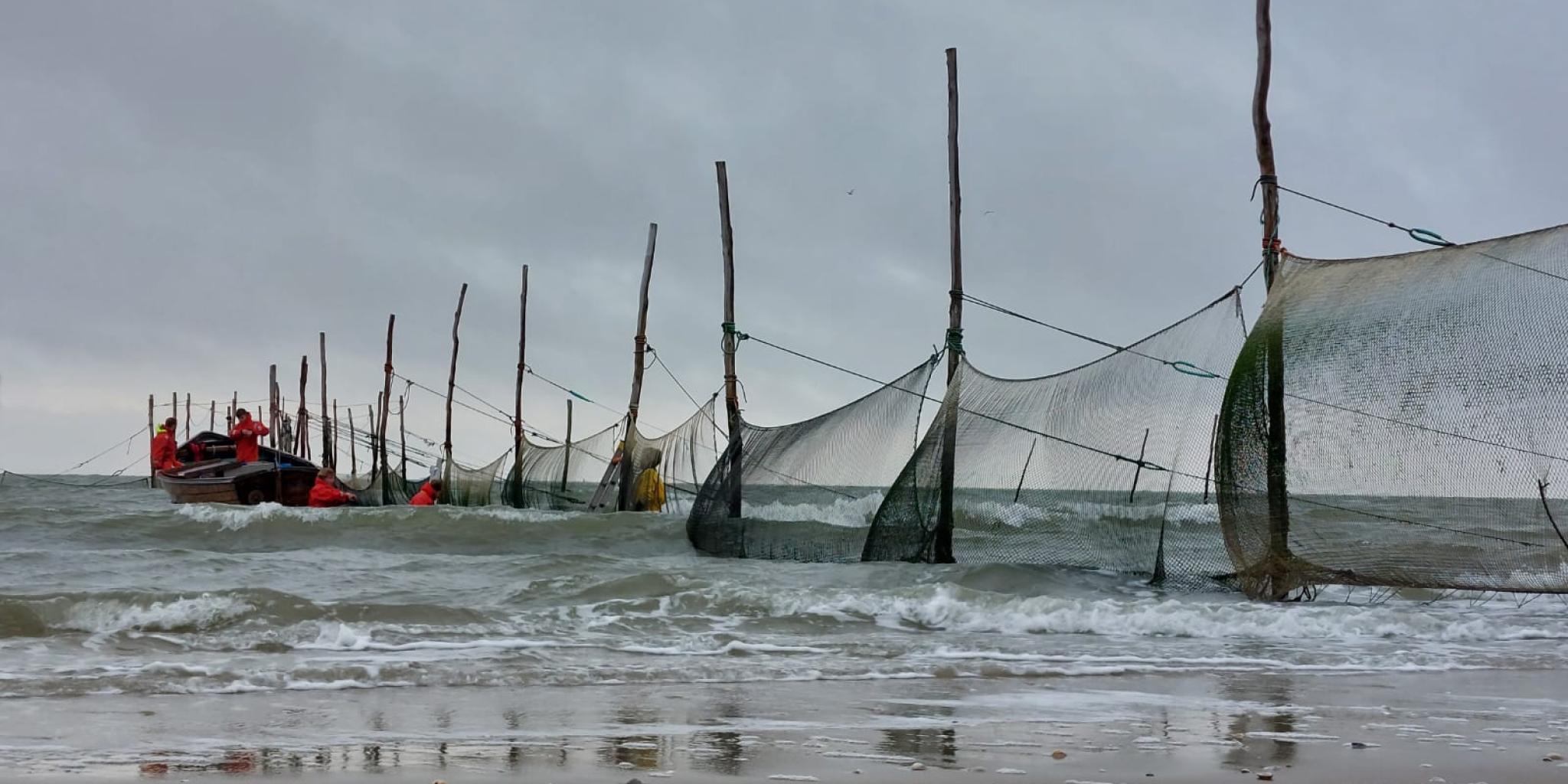 Fuiken (visnetten) opgesteld in zee langs het strand onder een bewolkte lucht.