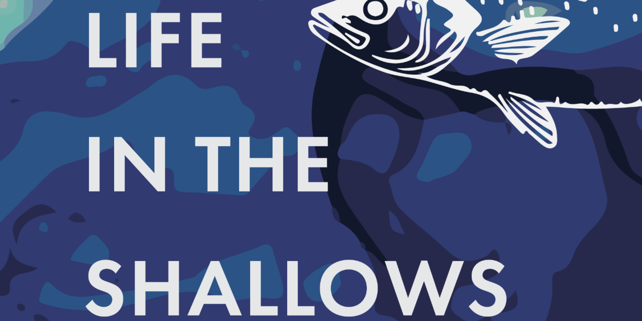 Proefschriftomslag getiteld 'Life in the shallows; tracking fish movement within and beyond the Dutch Wadden Sea'. Blauw omslag met witte vissen erop. (foto: Jena Edwards)