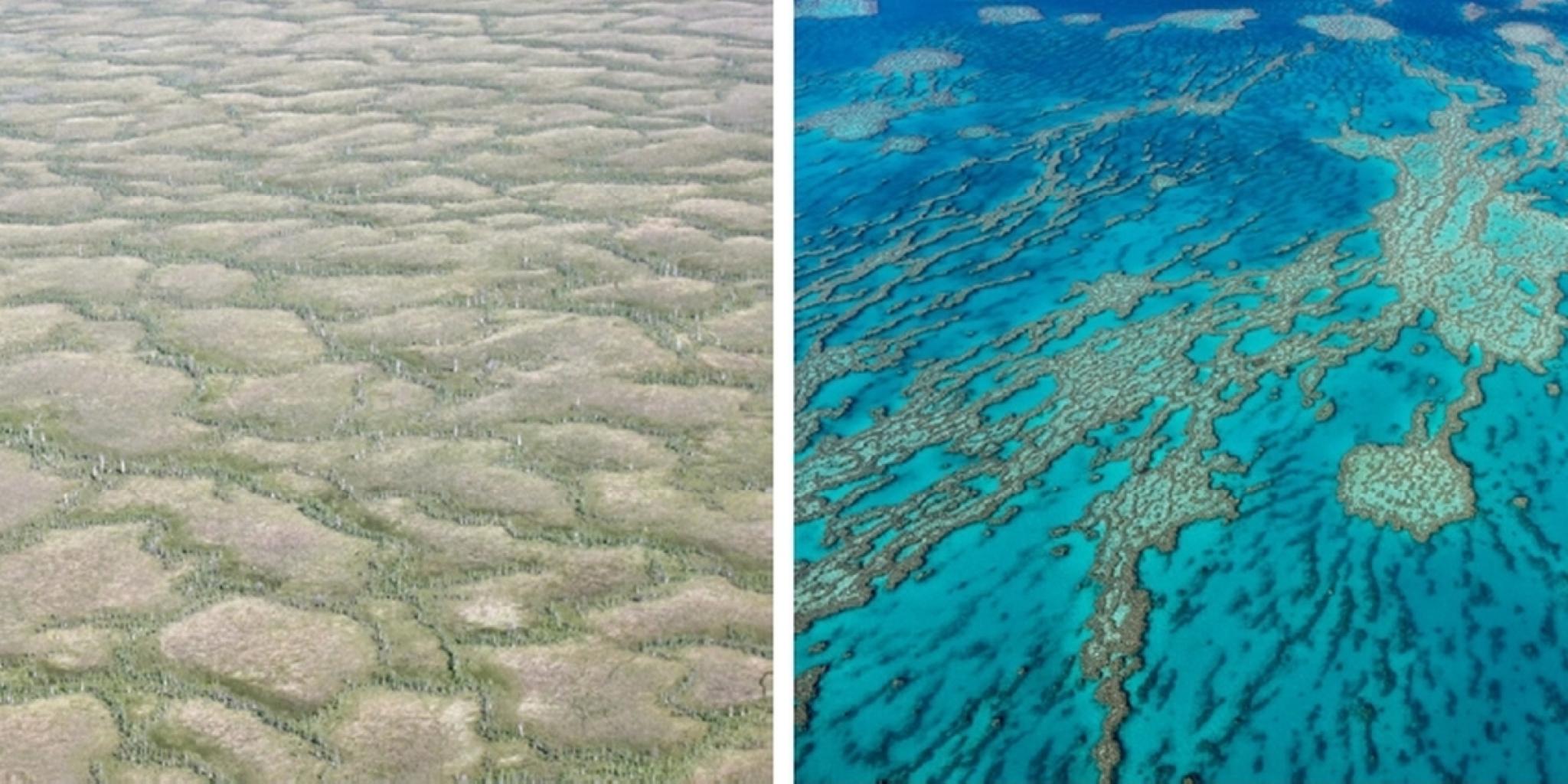 Two images side by side: patterns in shallow sediment on the left and an aerial view of a reef structure in clear blue water on the right.