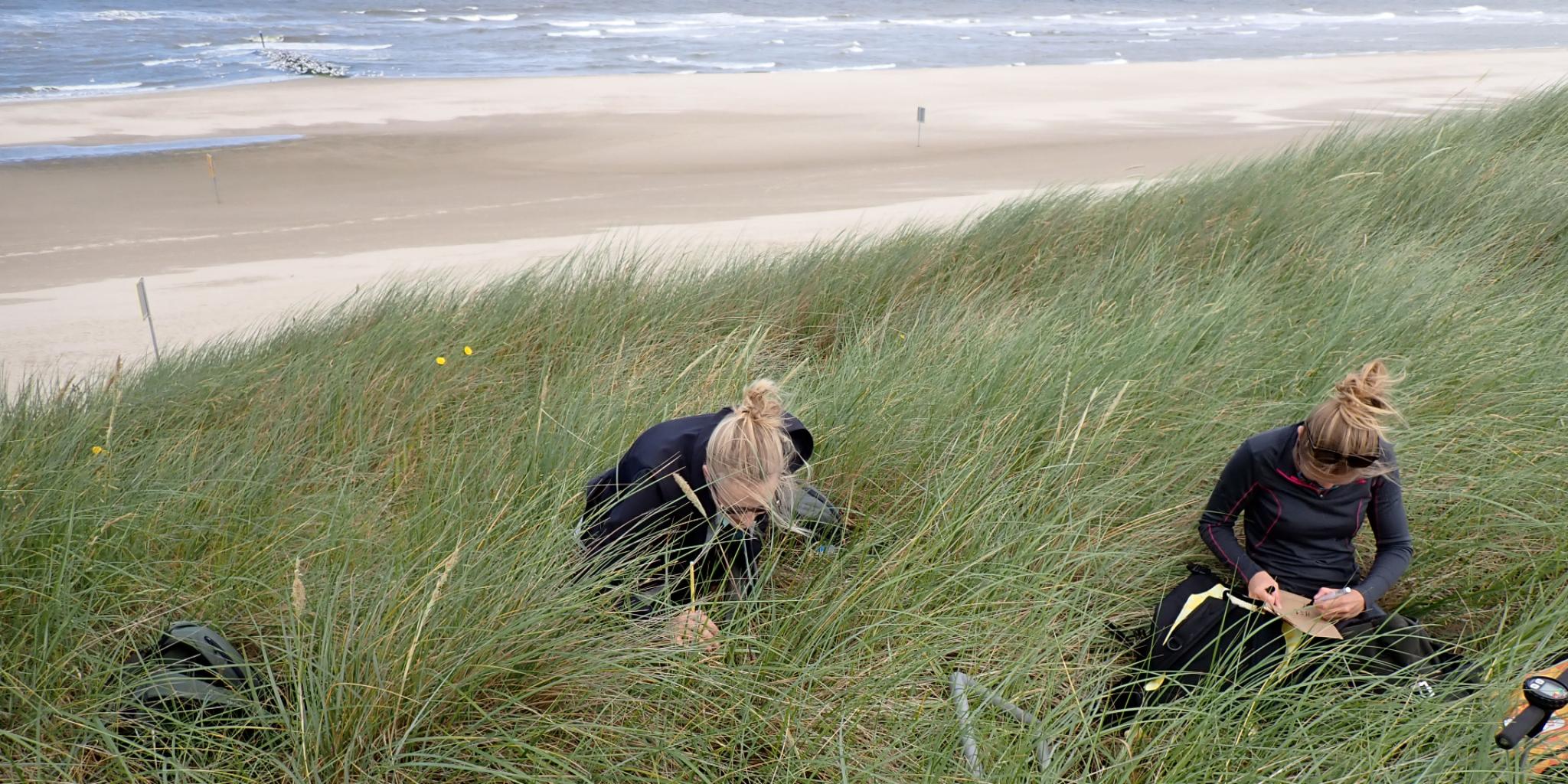 two women sitting in the dunes taking notes 