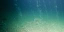 Gas bubbles rising from the North Sea seafloor, visible as vertical plumes above the sediment.