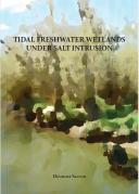 Cover PhD thesis Eleonora Saccon