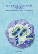 An illustration of a microbial community with nanoplastics 