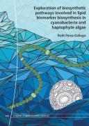 thesis cover with drawing