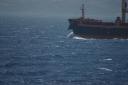 Een gestreepte dolfijn zwemt in de boeggolf van een vrachtschip in de Straat van Gibraltar, met op de achtergrond de open zee en een bergachtige kustlijn.