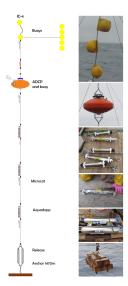 A mooring and all its components: on the left a schematic depiction, on the right photos of each different part