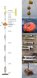 A mooring and all its components: on the left a schematic depiction, on the right photos of each different part
