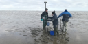 Researchers Dunia Rios-Yunes and Jeroen van Dalen take elevation measurements on the Paulinapolder tidal flats using GPS survey equipment. They work on the exposed mudflat at low tide with sampling gear and buckets nearby.