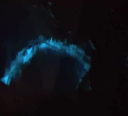 Blue bioluminescence from marine algae glows in the dark water alongside the ship.