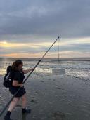 Onderzoeker Femke Vermeulen neemt met een lange bemonsteringsstok monsters op het wad.