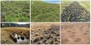Six types of hummocks are shown in one picture.