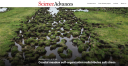 Screenshot of the website of Science Advances, showing the picture of  Mingxuan's research on coastal meadows.