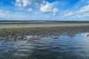 Oosterschelde Roggenplaat. NIOZ