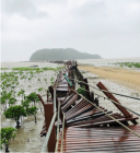 Typhoon damage to a boardwalk in a mangrove