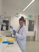 Genomic library construction in the marine microbiology and biogeochemistry lab at the NIOZ. Photographer: Dr. Swan Sow